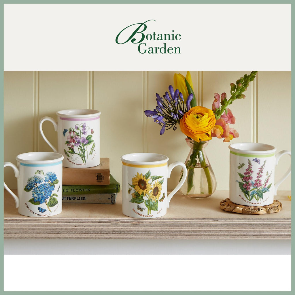 Botanic Garden Meadow Breakfast Mugs, 8.5 oz, Set of 6