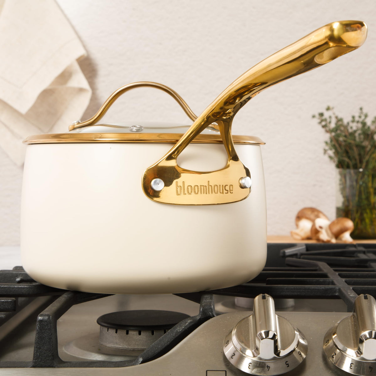 Bloomhouse Heavy Duty Aluminum Premium PFA Free Ceramic Nonstick Cookware